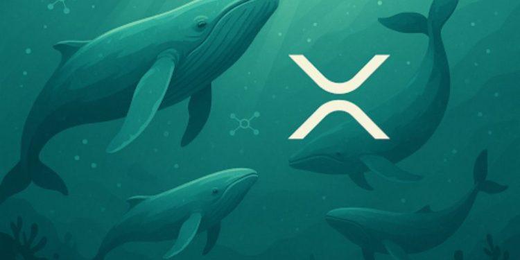 XRP News Today: Ripple Price Prediction & Latest Updates From Viral Altcoin Remittix